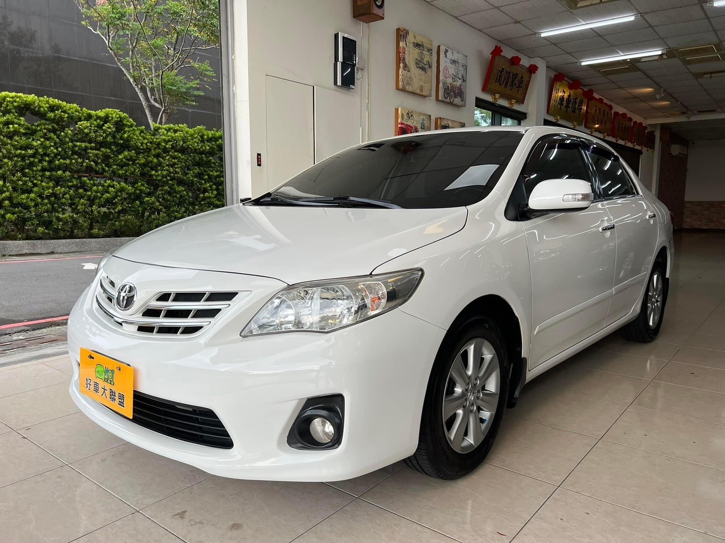 TOYOTA ALTIS (白)